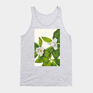 Sweetbay magnolia - Botanical Illustration Tank Top